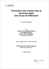 TB_2023_F08_Etienne.L_Lopes.D_Savoy.L .pdf